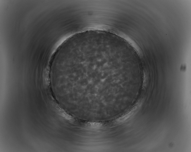 X0000101390878200807141130