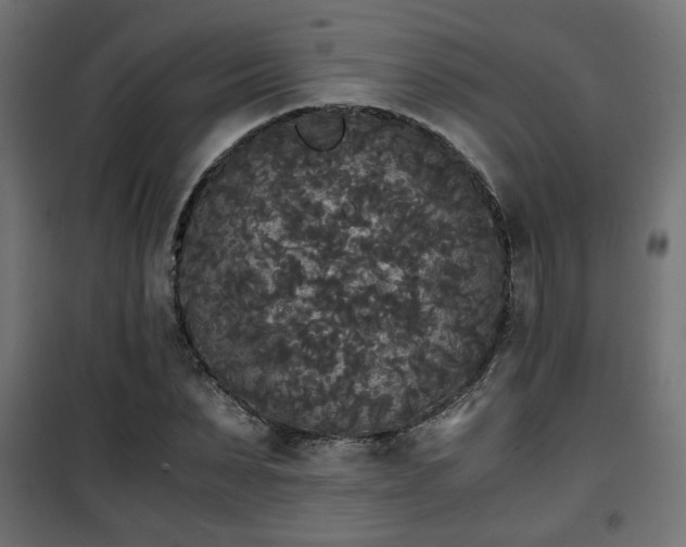 X0000101390879200807141130