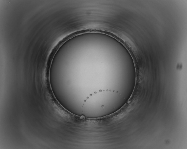 X0000101390880200807141130