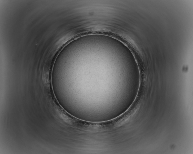 X0000101390881200807141130