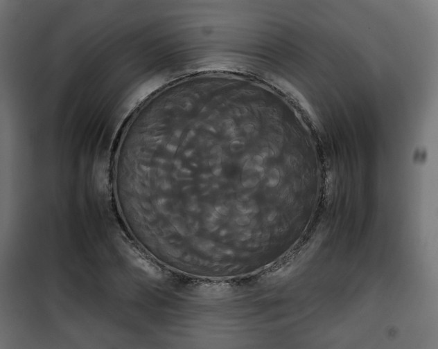 X0000101390882200807141130