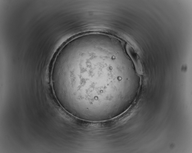 X0000101390883200807141130