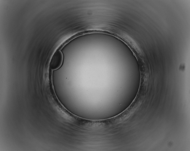 X0000101390884200807141130