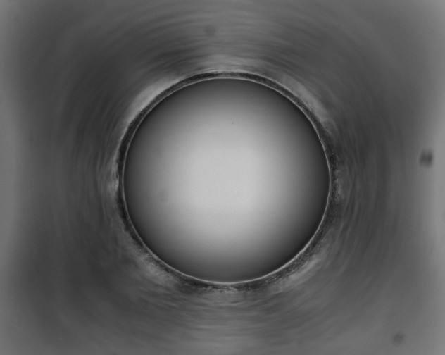 X0000101390885200807141130