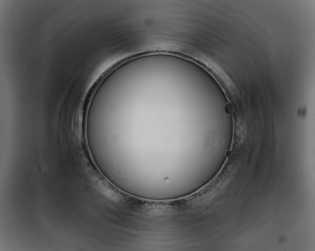 X0000101390886200807141130