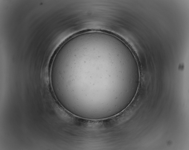 X0000101390887200807141130