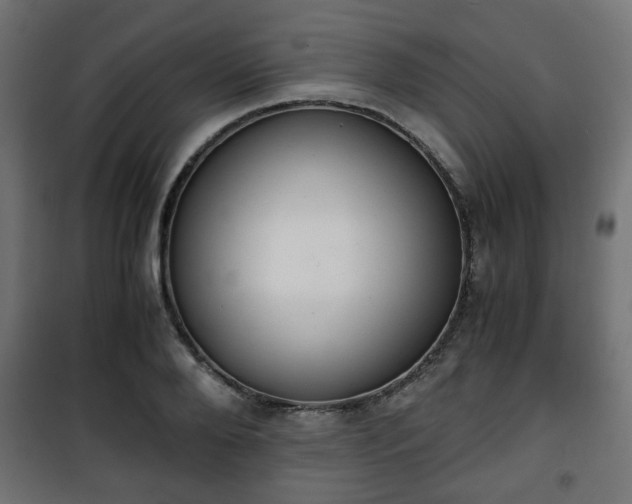 X0000101390888200807141130