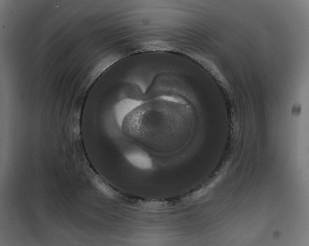 X0000101390889200807141130