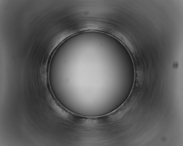 X0000101390890200807141130