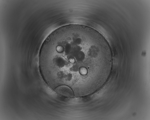 X0000101390891200807141130