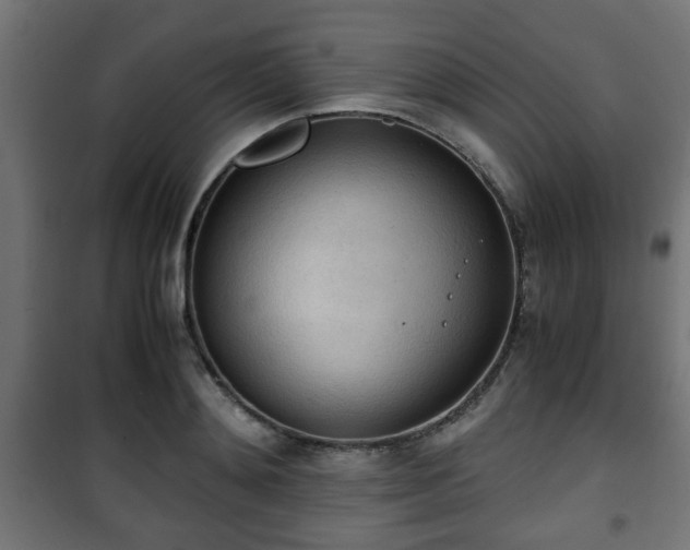 X0000101390892200807141130