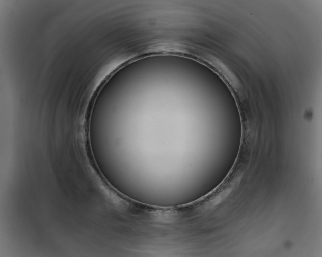 X0000101390893200807141130