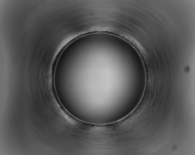 X0000101390894200807141130