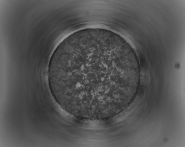 X0000101390895200807141130