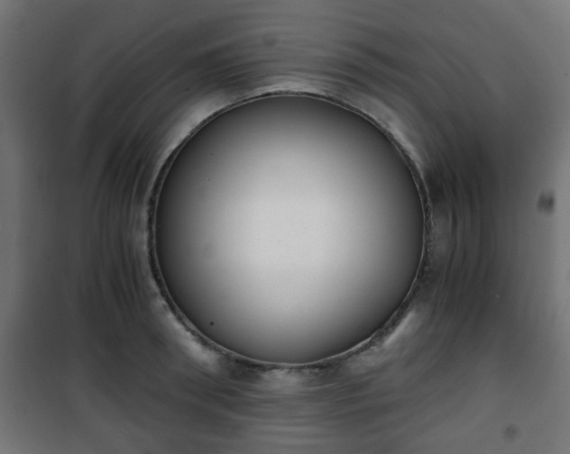 X0000101390898200807141130