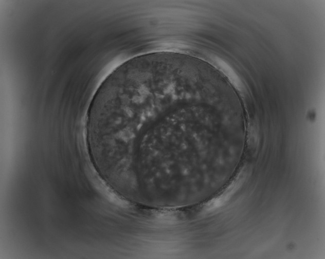 X0000101390899200807141130