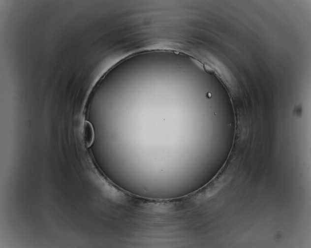 X0000101390900200807141130