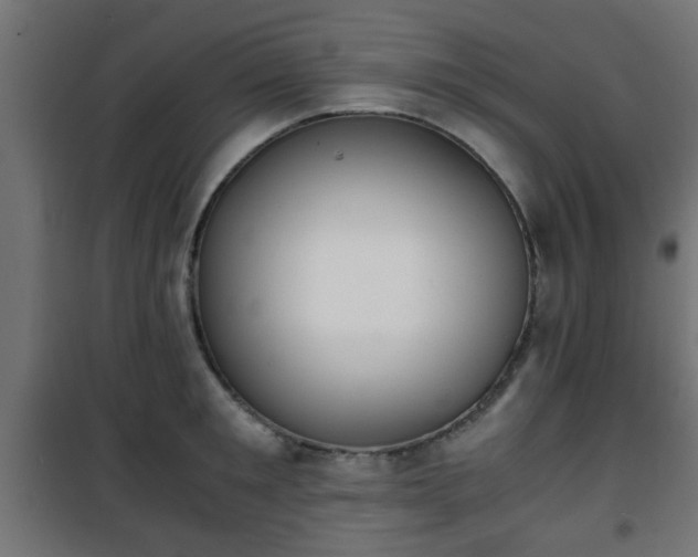 X0000101390901200807141130