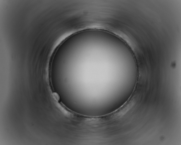 X0000101390902200807141130