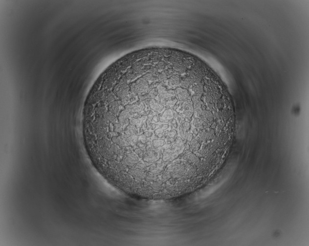 X0000101390903200807141130