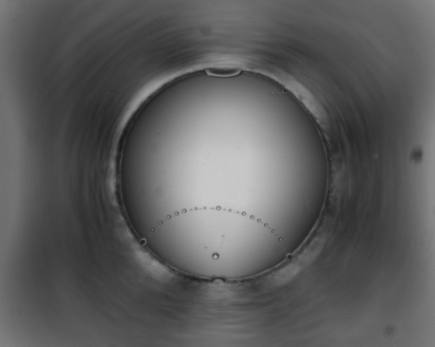 X0000101390904200807141130