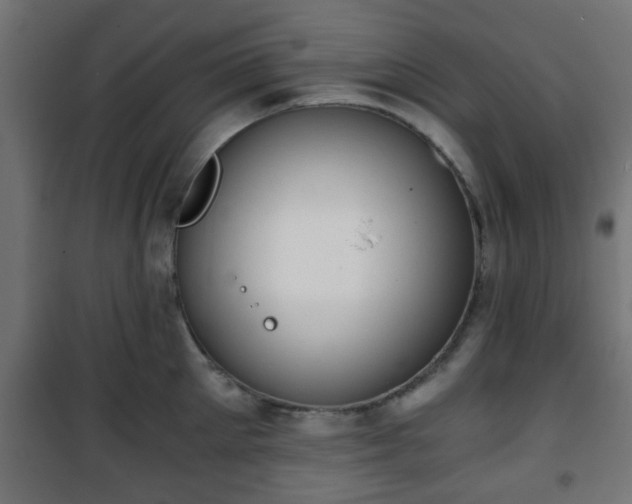 X0000101390905200807141129