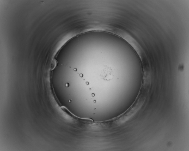 X0000101390906200807141129