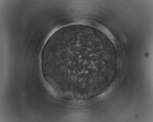 X0000101390907200807141129