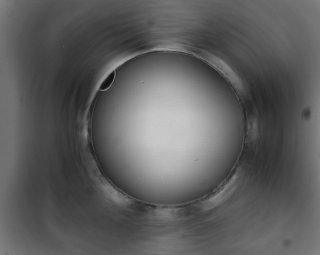 X0000101390908200807141129