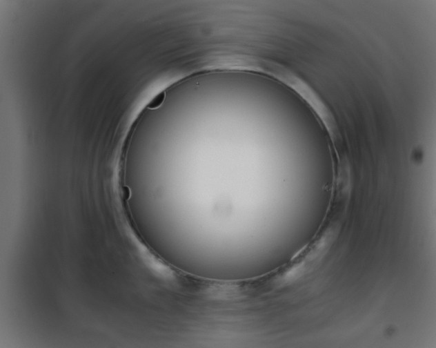 X0000101390909200807141129