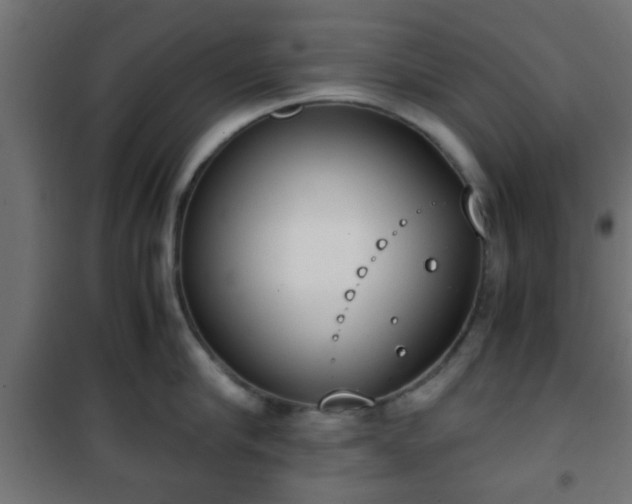 X0000101390910200807141129