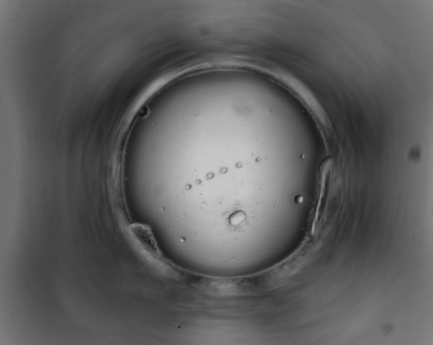 X0000101390911200807141129