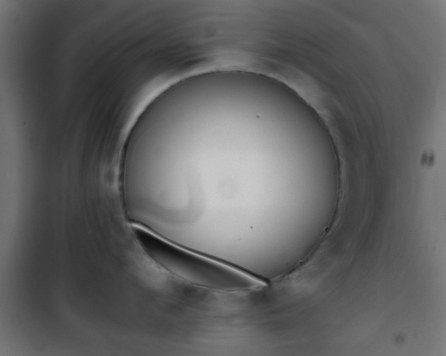 X0000101390912200807141129