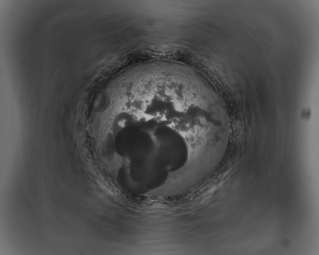 X0000101390913200807141129