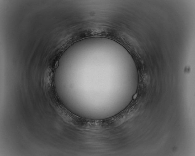 X0000101390914200807141129