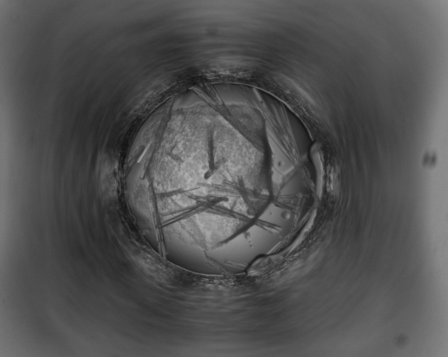 X0000101390915200807141129