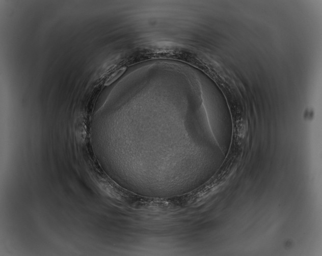 X0000101390916200807141129