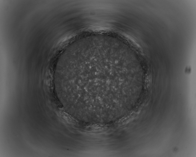 X0000101390917200807141129