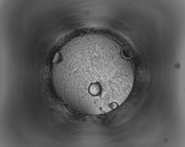 X0000101390918200807141129