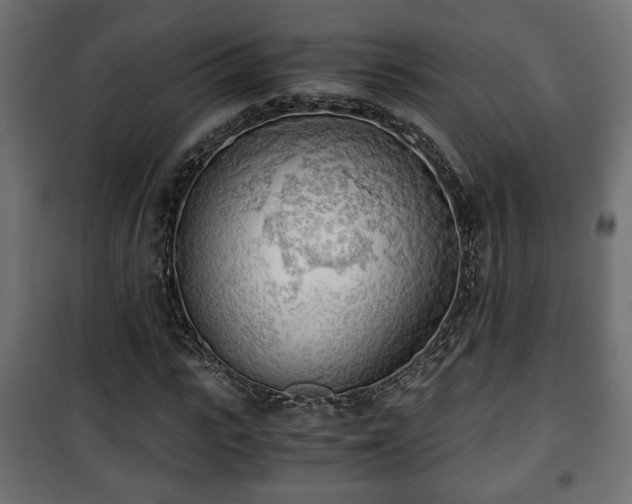 X0000101390919200807141129