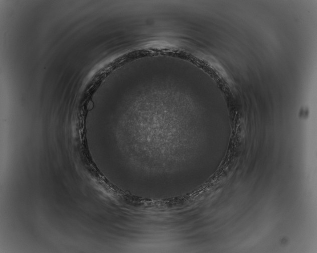 X0000101390920200807141129