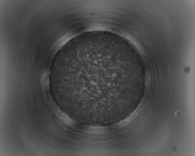 X0000101390921200807141129