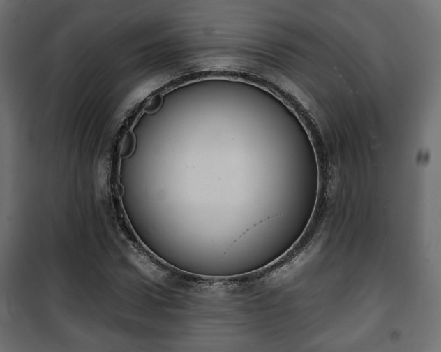 X0000101390922200807141129