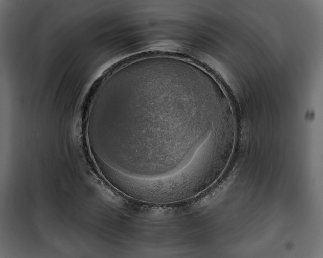 X0000101390923200807141129