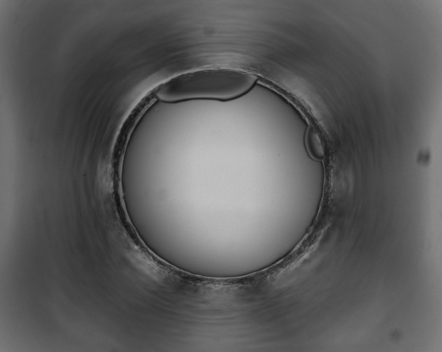 X0000101390924200807141129