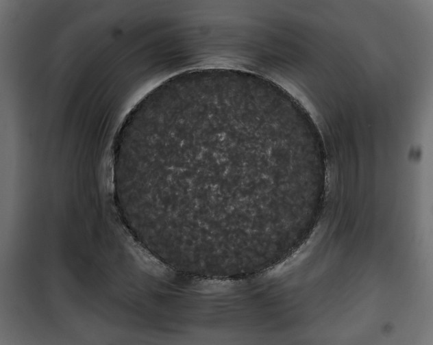 X0000101390925200807141129