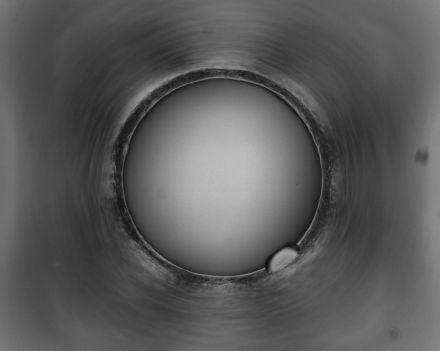 X0000101390926200807141129