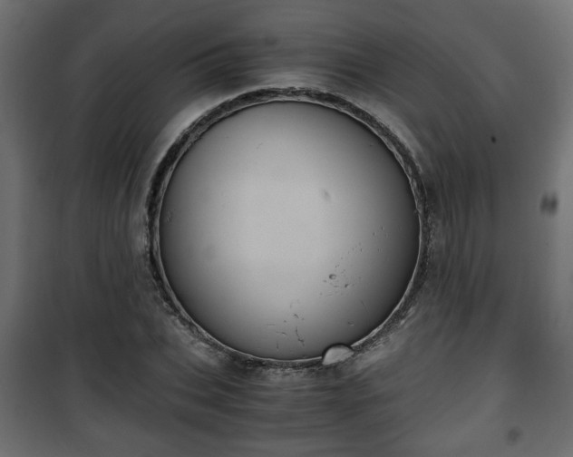 X0000101390927200807141129