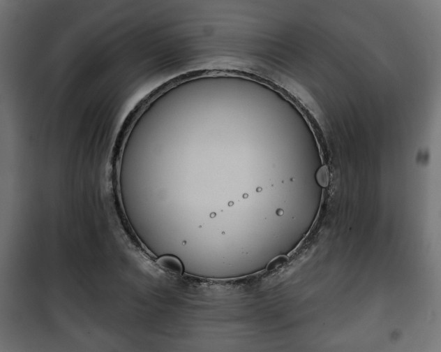 X0000101390928200807141129