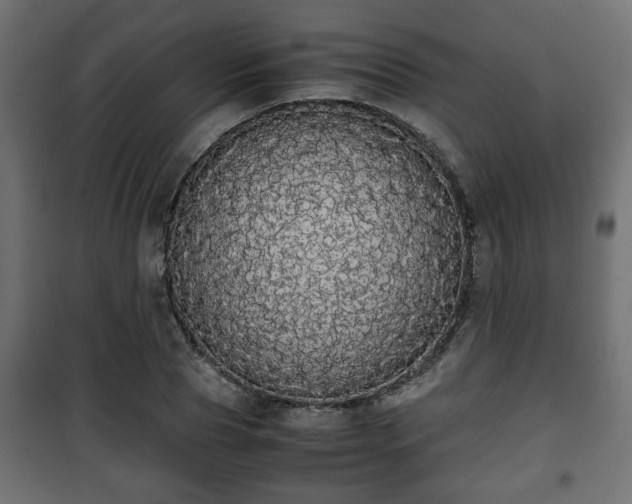 X0000101390929200807141129